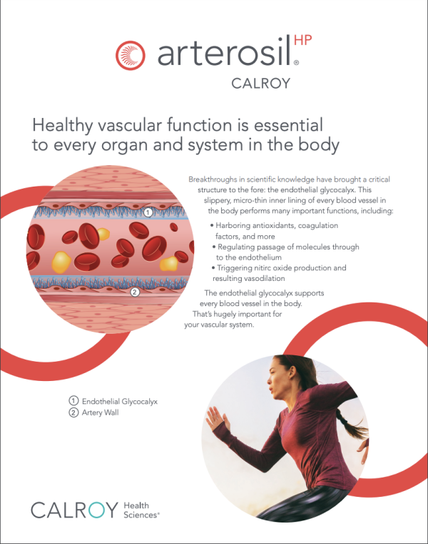 Arterosil Product Info sheet 2023
