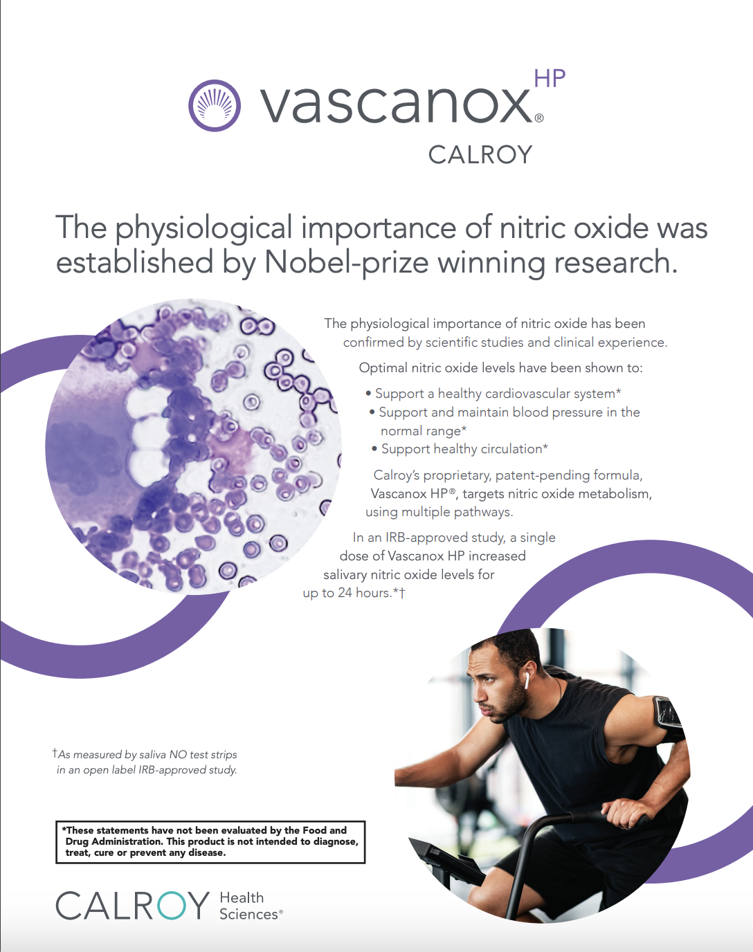 Vascanox Product Info sheet 2023